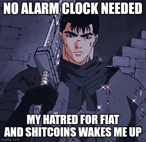No Alarm Clock Needed